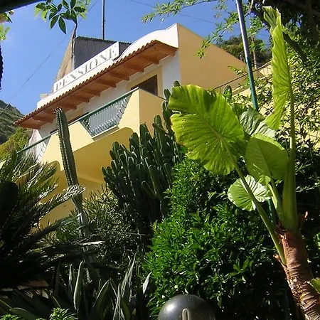 Franz فندق 3*